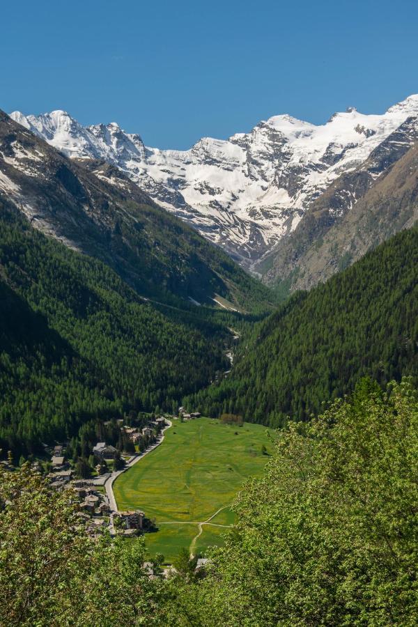Апартаменты Nido Delle Aquile Конье Экстерьер фото
